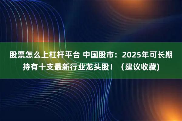 股票怎么上杠杆平台 中国股市:2025年可长期持有十支最新行业龙头股!(建议收藏)